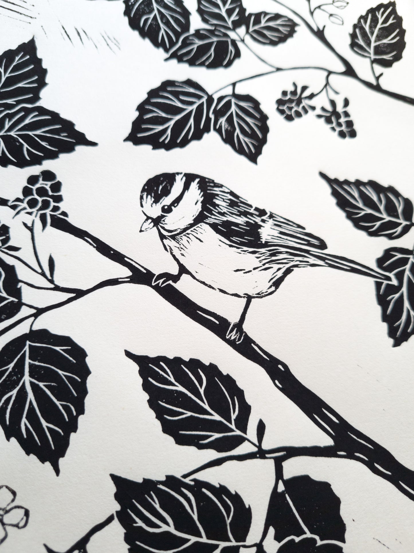 The Wild Garden (Black) - 40x50cm